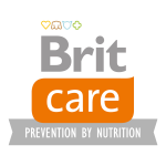 Brit-Care-logo-scaled