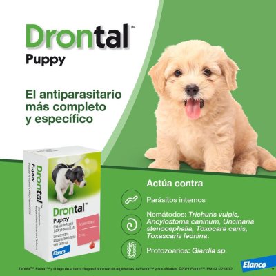 Drontal Puppy Elanco